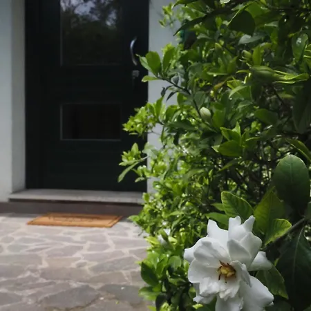Le Gardenie Di Tito Apartment Mogliano Veneto