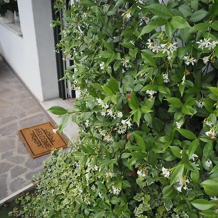 Le Gardenie Di Tito *